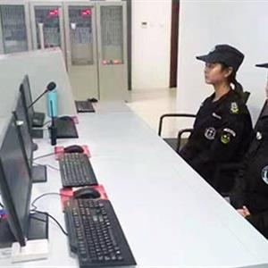 安全防范咨询